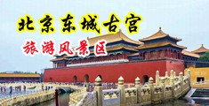 男生的j插入女生的bb视频中国北京-东城古宫旅游风景区